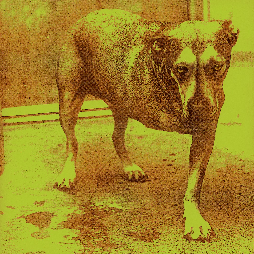 Love Hate Love By Alice In Chains On Pandora Radio Songs Lyrics Love Hate Love By Alice In Chains On Pandora Radio Songs Lyrics
