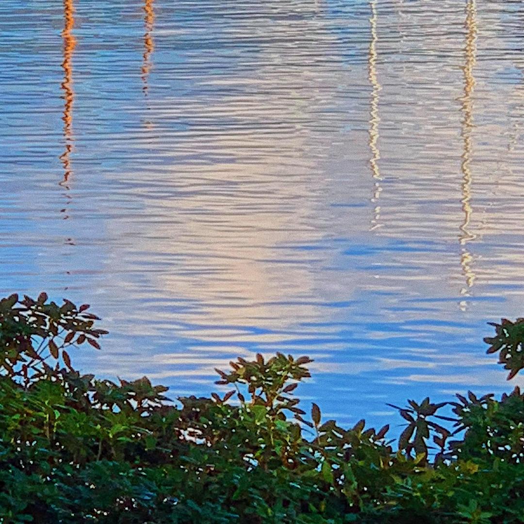 123 Praise Feat T Bone By Virtue Pandora pandora