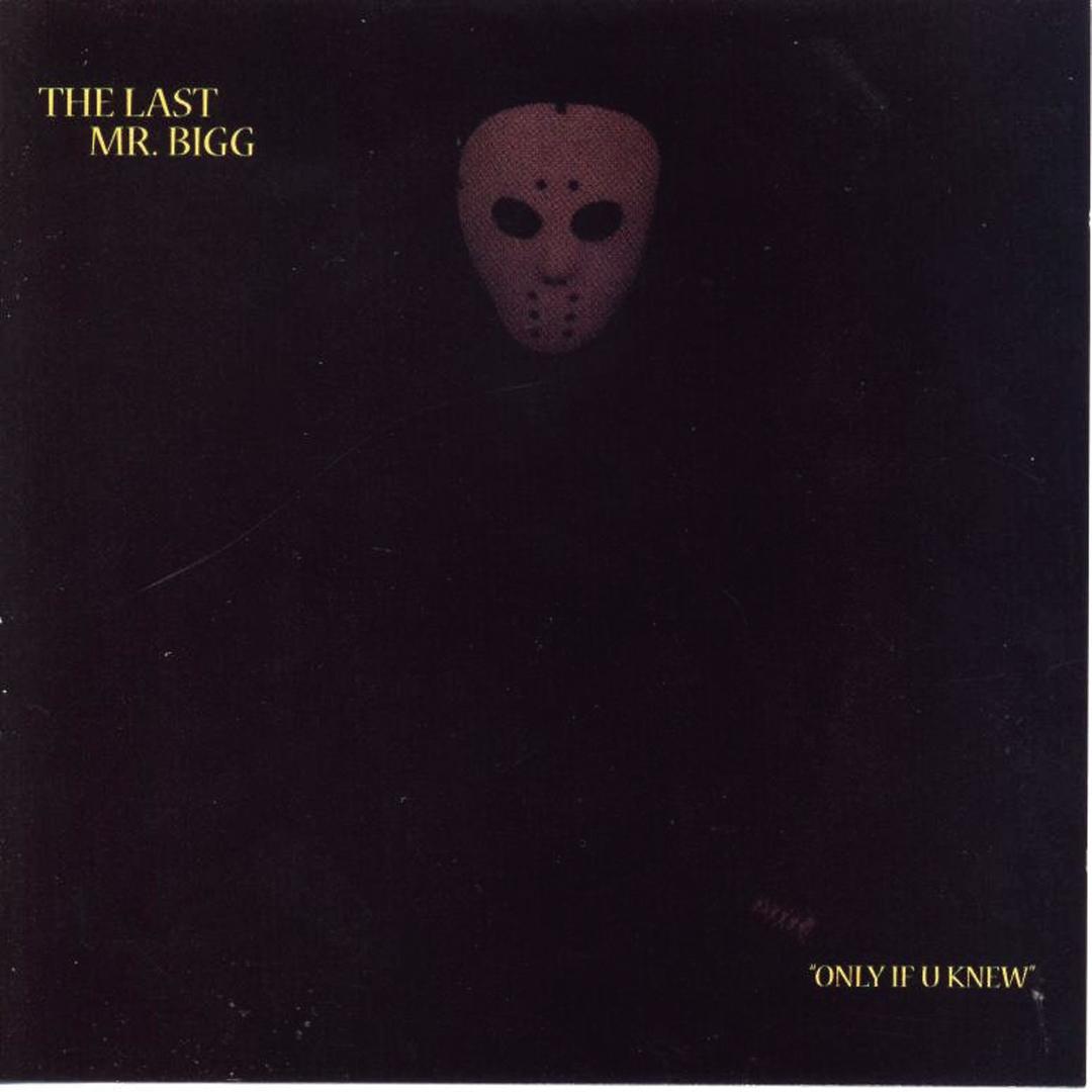 Listen To The Last Mr Bigg Pandora Music Radio